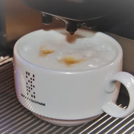 波尔图特林达德酒店 4* 波尔图